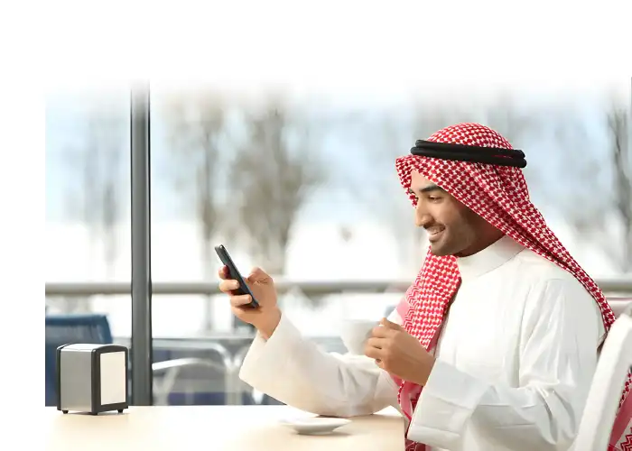 نظام الولاء